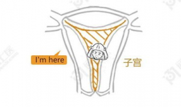 子宫奸漫画,揭秘女性身体与权力的隐秘较量